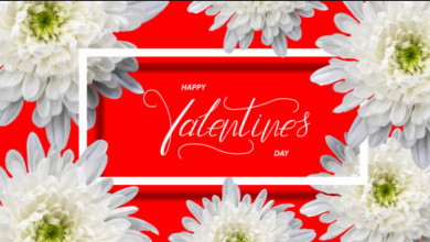 Top 50+ Happy Valentine's Day Aesthetic Quotes 2025